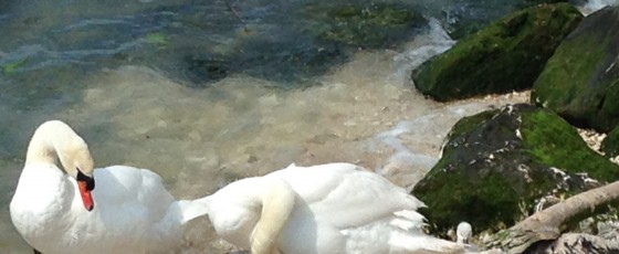 Caorle un luogo per famiglie