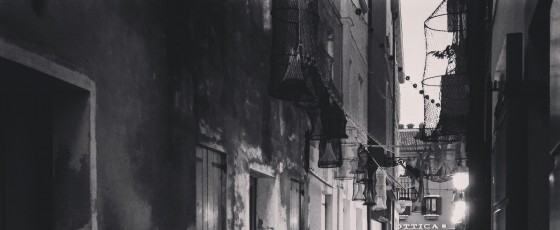 Calle Gallo