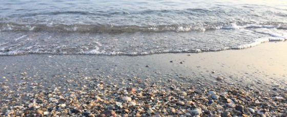 Colori d’ inverno