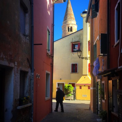 Il sole oggi accende i colori 