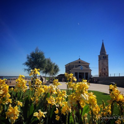Caorle in fiore 