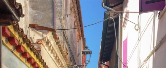 Calle Gallo